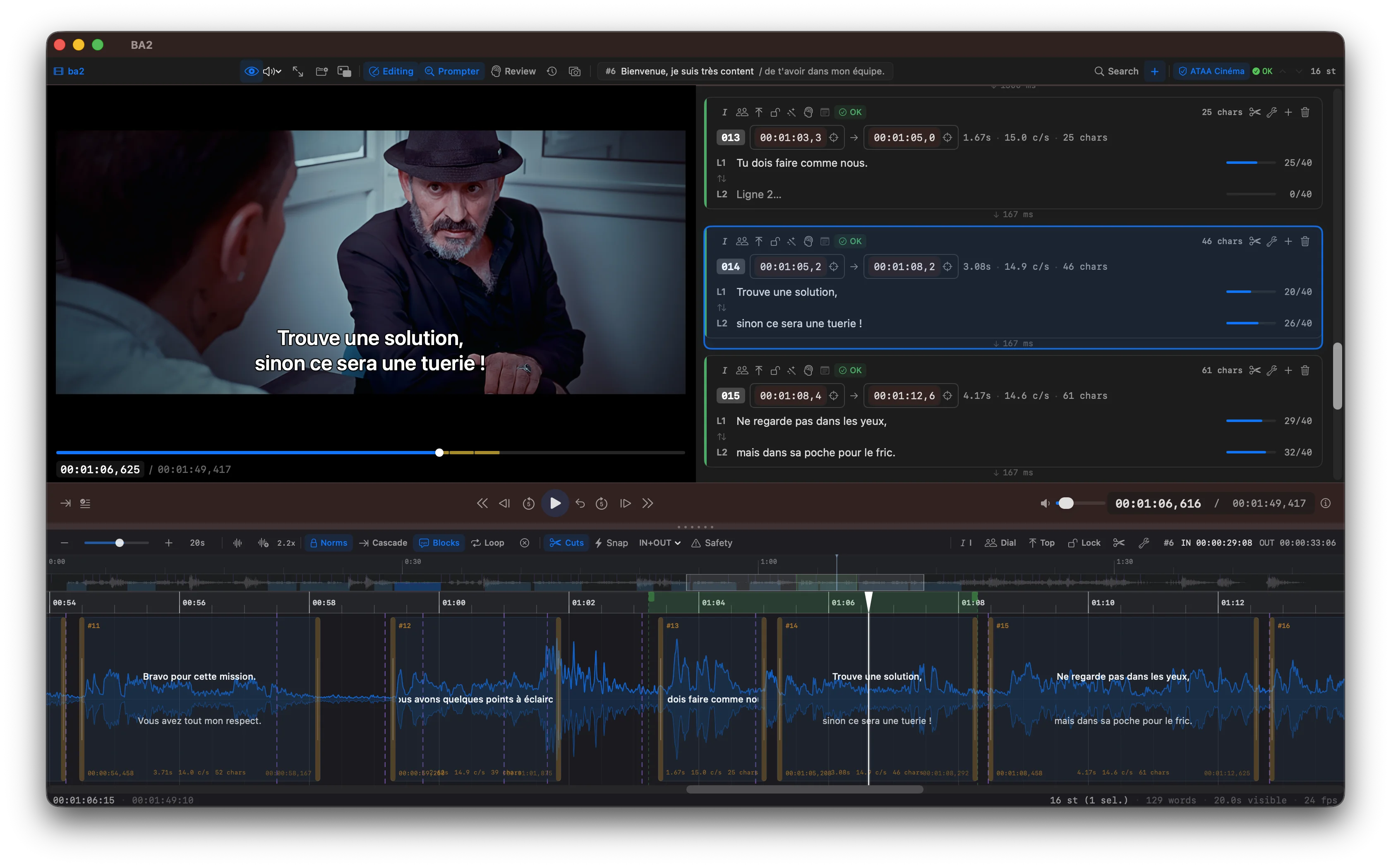 Scene Cut — Professional subtitle editor interface