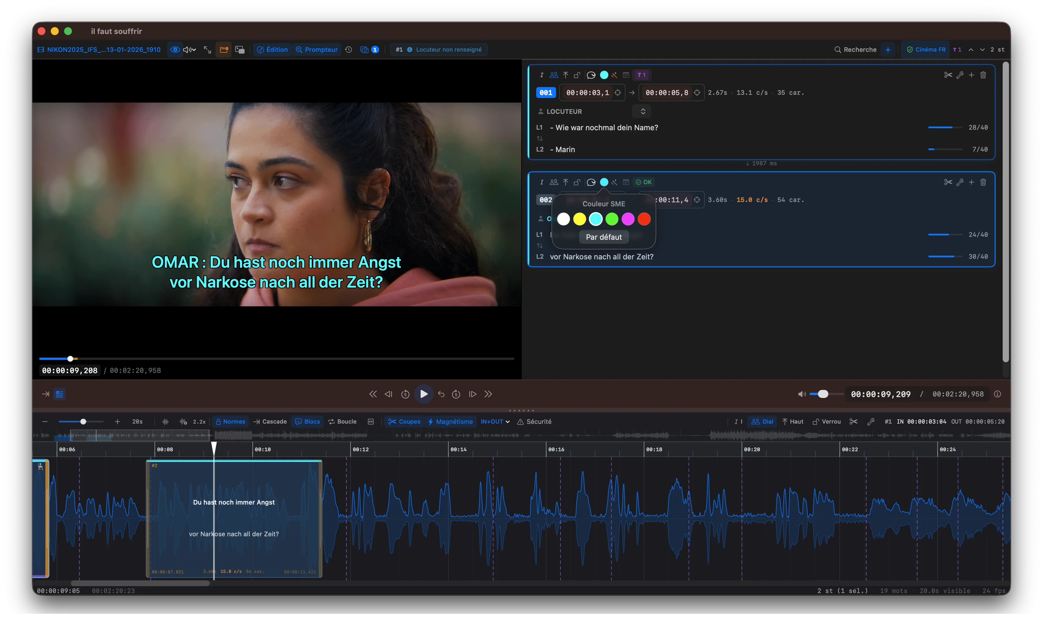 Scene Cut SME subtitling with speaker identification and colors
