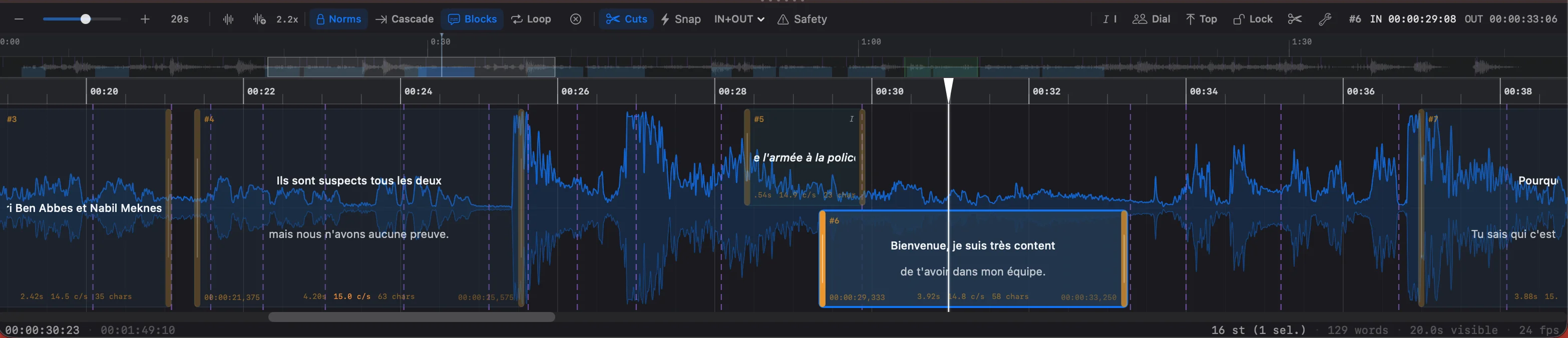 Scene Cut timeline with waveform and subtitle blocks